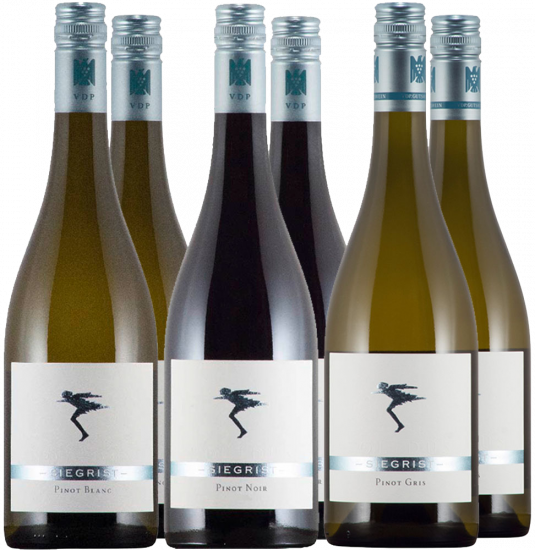 Burgunder Gutswein-Paket - Weingut Siegrist
