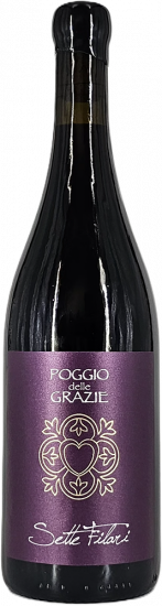 2022 Sette Filari Marzemino Veneto IGP Bio - Poggio delle Grazie