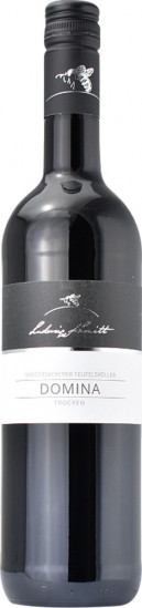 2022 Domina - Randersackerer Teufelskeller trocken - Weingut Ludwig Schmitt