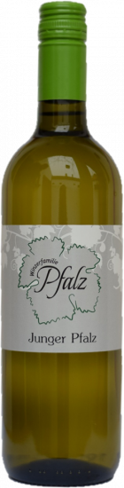 2025 Junger Pfalz trocken - Winzerfamilie Pfalz
