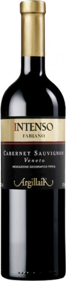 2021 Intenso Cabernet Sauvignon Veneto IGP trocken - Fabiano Vini