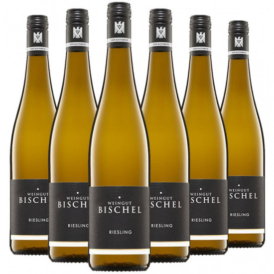 Riesling VDP.Gutswein-Paket - Weingut Bischel