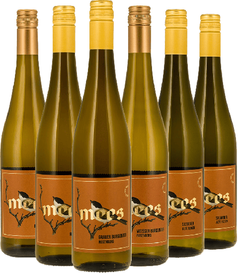 Probierpaket Weißweine säurearm - Weingut Mees