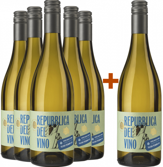 5+1 Repubblica del Vino Falerio Pecorino DOC - Cantina Villa Pigna