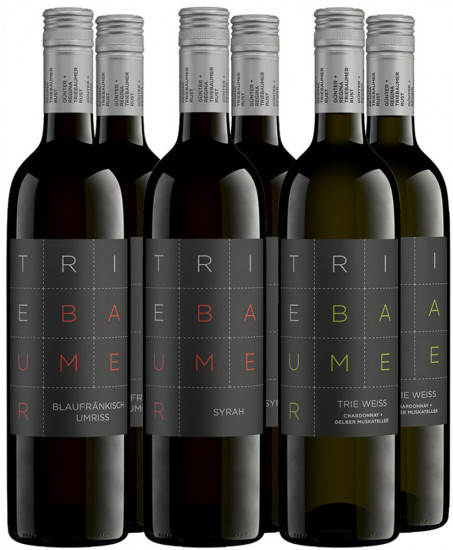 Trie Kennenlern-Paket - Weingut Triebaumer