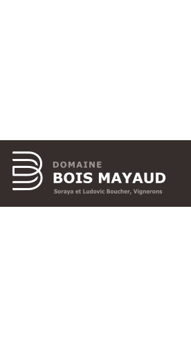 2023 L'Essentiel Blanc de noir de Cabernet Franc VIN DE FRANCE trocken - Domaine Bois Mayaud