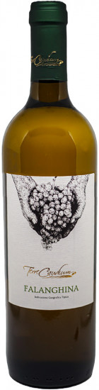 2021 Beneventano Falanghina trocken - Terre Caudium