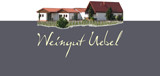 2014 Riesling Trocken - Weingut Uebel