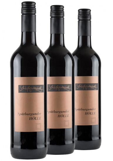 2016 HÖLLE, HÖLLE, HÖLLE Dein Lagenweinpaket aus der Saulheimer Hölle trocken - Weingut Schloßgartenhof