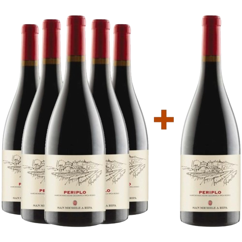 5+1 Paket Periplo Marche IGP - San Michele a Ripa