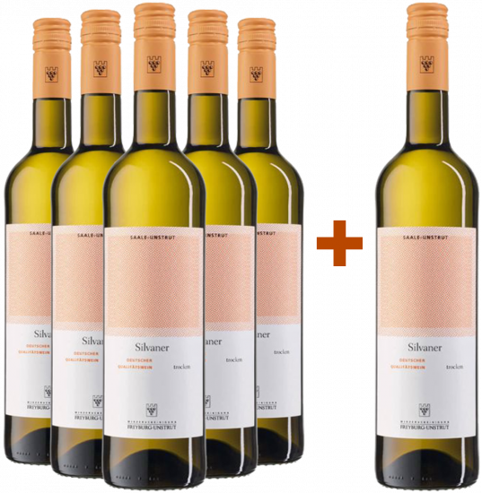 5+1  Silvaner DQW - Winzervereinigung Freyburg-Unstrut