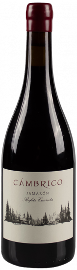 2019 Cámbrico Jamarón Sierra de Salamanca DOP trocken - Viñas del Cambrico