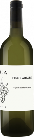 2023 Pinot Grigio Vigneti delle Dolomiti IGP - Travino Special Valsugana