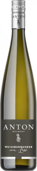 2024 Herxheimer Weissburgunder vom Löss trocken - Weingut Anton