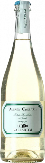 2021 Vadum Caesaris Vigneti delle Dolomiti IGP Bio - Travino Special Valsugana