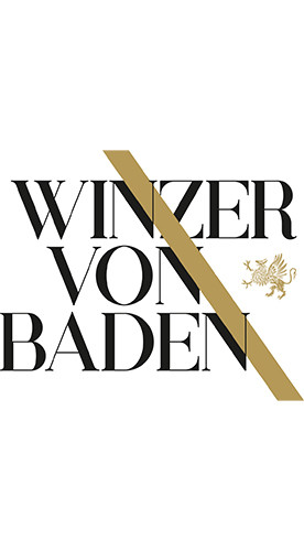 2024 Weinmanufaktur Heidelberg Grauburgunder Premium trocken - Winzer von Baden