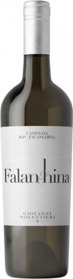 2024 Falanghina Campania IGP trocken - Giovanni Molettieri