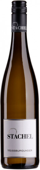 2024 Weißer Burgunder Kalkmergel Kirrweiler trocken - Weingut Erich Stachel