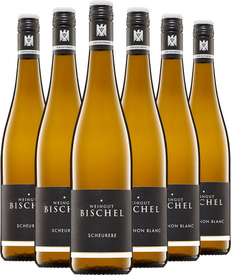 Bischel Frühlings-Paket - Weingut Bischel