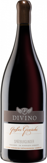 2019 DIVINO Großes Gewächs Spätburgunder Magnumflasche trocken 1,5 L - Divino eG