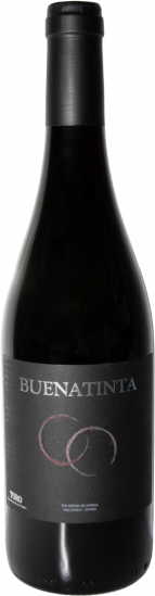 2023 Buenatinta Toro DO trocken - Bodegas Buena Tinta