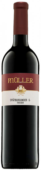 2019 Spätburgunder -S- trocken - Weingut Axel Müller