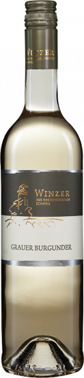 2025 Wöllstein Grauer Burgunder klassisch feinherb - Winzer der Rheinhessischen Schweiz