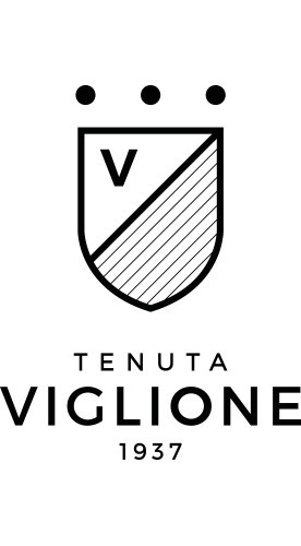 2025 Negroamaro Bianco Puglia IGP Maidomo trocken - Tenuta Viglione
