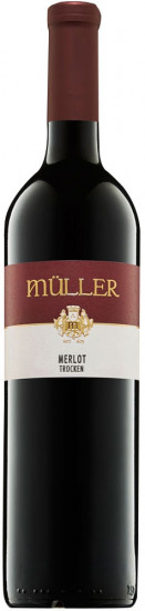 2021 Merlot trocken - Weingut Axel Müller