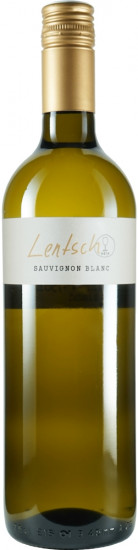 2023 Sauvignon Blanc - Weingut Lentsch - Pinots vom Leithaberg