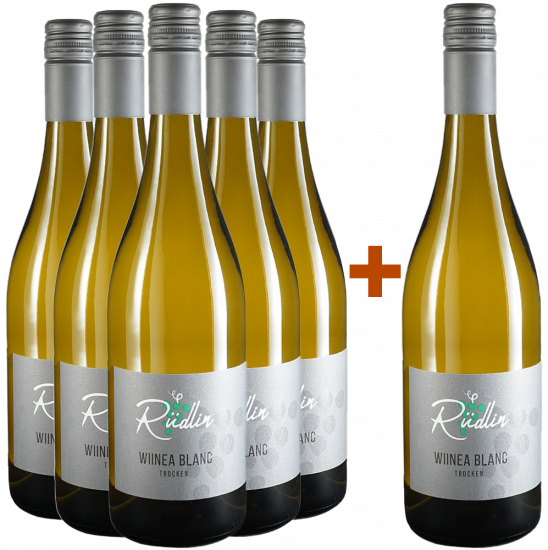 5+1 Paket WIINEA Blanc FundamenT - Wein- und Obsthof Rüdlin