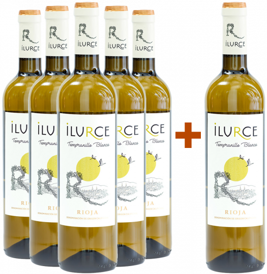 5+1 Ilurce Tempranillo Blanco Rioja DOCa - Bodegas y Viñedos Ilurce