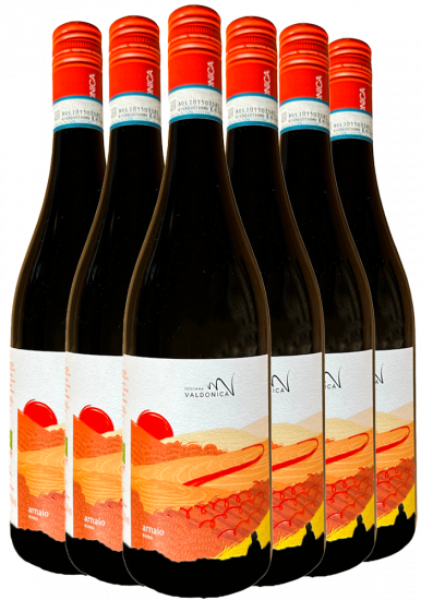 Arnaio Kennenlern-Paket Bio - Valdonica