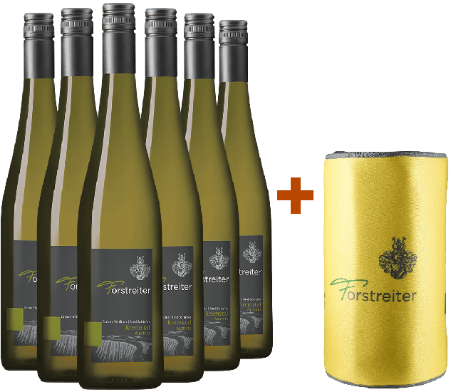 6er Paket Ried Schiefer inkl. gratis Kühlmanschette - Weingut Forstreiter