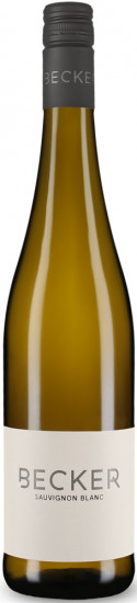 2025 Sauvignon Blanc Gutswein trocken - Sabrina Becker Weine