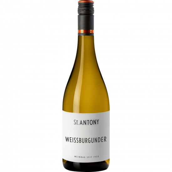 2023 Weissburgunder Bio trocken - St. Antony 