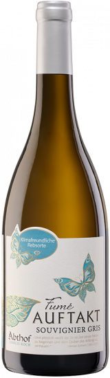 2023 Auftakt Fumé Souvignier Gris trocken - Weingut Abthof
