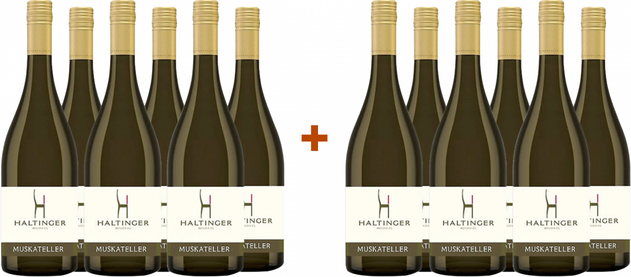 6+6 Paket Merlot trocken - Haltinger Winzer eG
