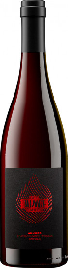 2019 Akkord | Spätburgunder Rotwein Barrique Premiumwein trocken - Weingut Jung Dahlen