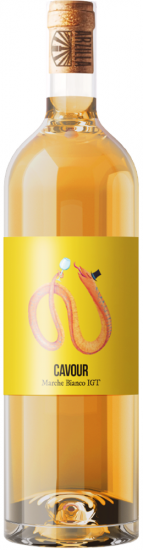 2023 Cavour IGP trocken Bio - Agricola Arzilla