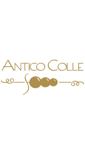 2015 Vino Nobile di Montepulciano Riserva Il Saggio DOCG trocken - Antico Colle