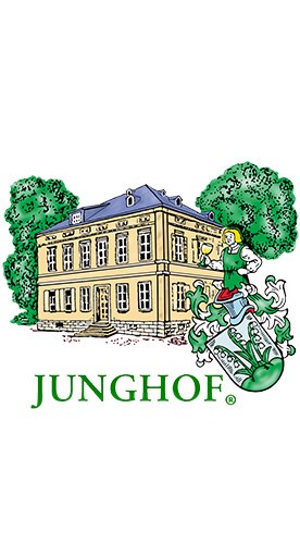 2018 Regent trocken - Weingut Junghof (Undenheim)