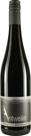 2018 Spätburgunder trocken - Weingut Antweiler