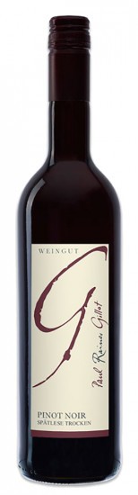 2020 Dienheimer Tafelstein Pinot Noir Spätlese trocken - Weingut Paul Rainer Gillot