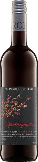 2022 Spätburgunder CLASSIC - Weingut Burgberg Eimann & Söhne
