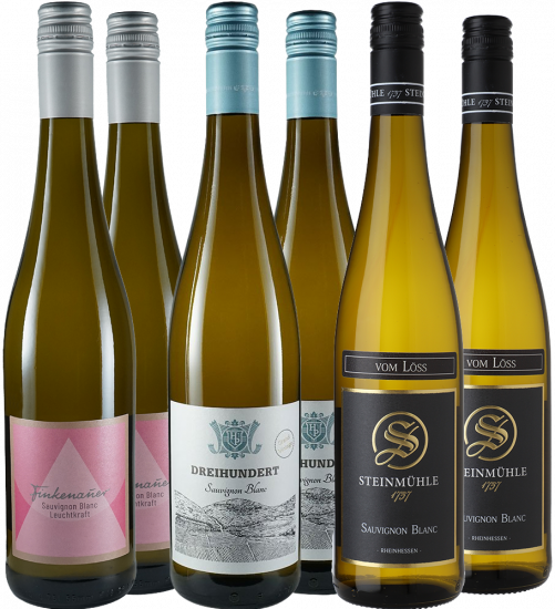 Sauvignon Blanc Premium-Paket