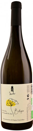 2023 Verdicchio dei Castelli di Jesi DOC Bio - Podere Mattei