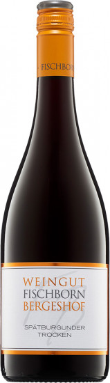 2022 Spätburgunder trocken - Weingut Fischborn Bergeshof