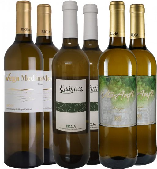 Weißwein Kennenlernpaket – Viñedos y Bodegas Lyng - Viñedos y Bodegas Lyng