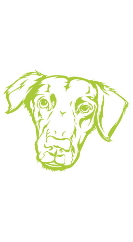 2023 Souvignier Gris trocken Bio - Streb Weine